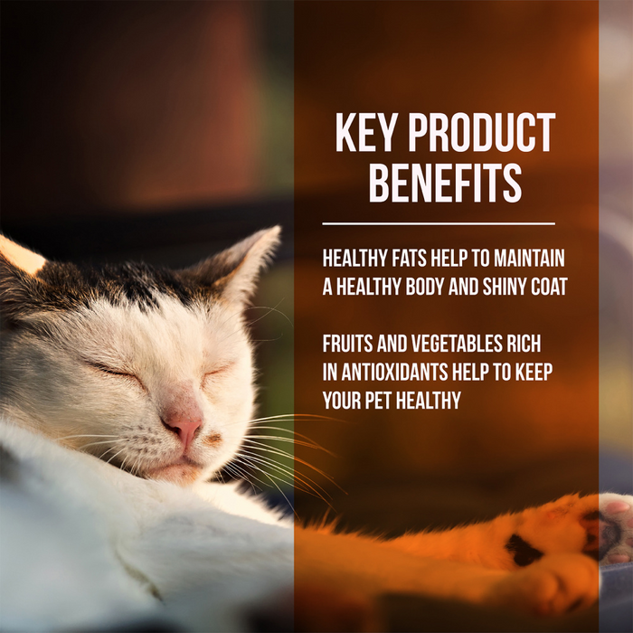 Fussie Cat Market Fresh Turkey Meal Recipe Dry Cat Food