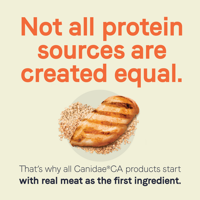 Canidae CA-20 Real Chicken Recipe With Wholesome Grains Dry Dog Food