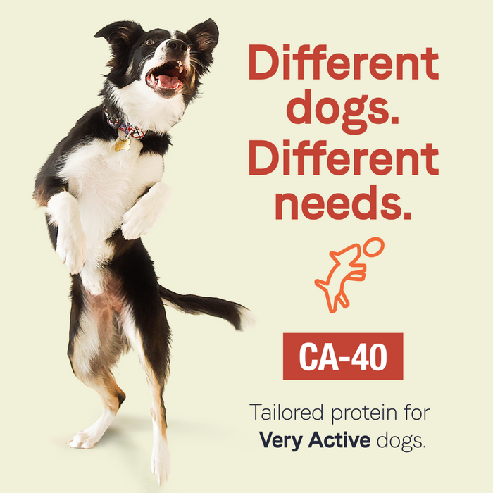 Canidae CA-40 High Protein With Real Salmon Recipe Dry Dog Food