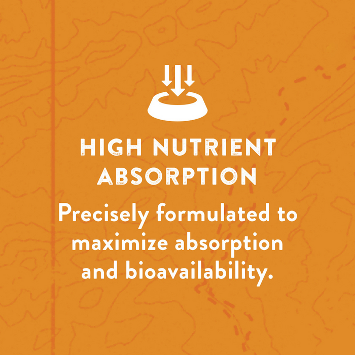 Zukes Hip Action Peanut Butter and Oats Dog Treats with Glucosamine and  Chondroitin