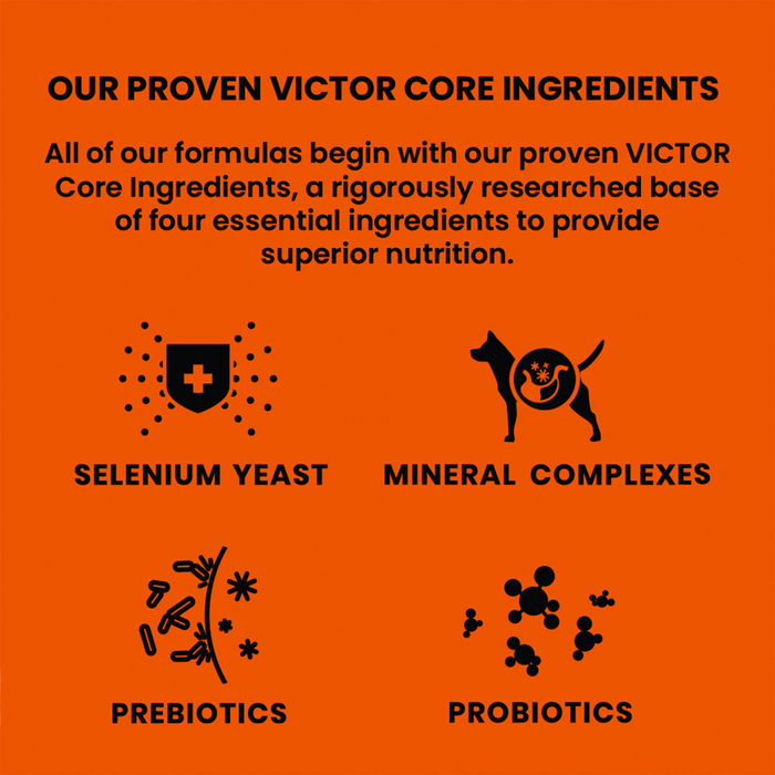 VICTOR Classic Crunchy Treats with Turkey Meal for Dogs