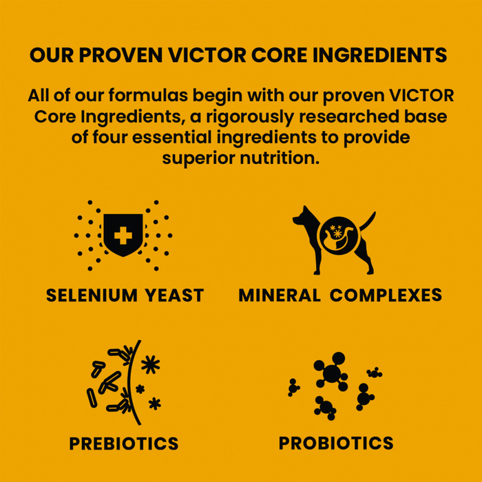 VICTOR Classic Crunchy Treats with Chicken Meal for Dogs