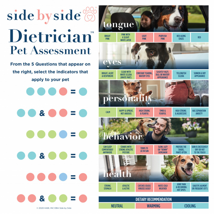 Side By Side Small Batch Dry Roasted Beef Heart with Blackstrap Molasses Neutral Dog Treats