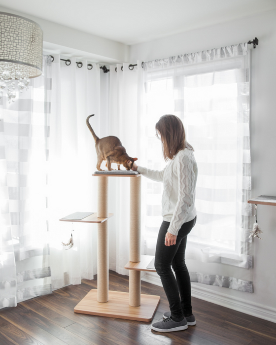 BeOneBreed KATT3 Evo Plus Sisal Cat Scratch Post