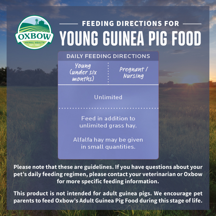 Oxbow Animal Health Garden Select Young Guinea Pig Food Garden Inspired Recipe for Young Guinea Pigs