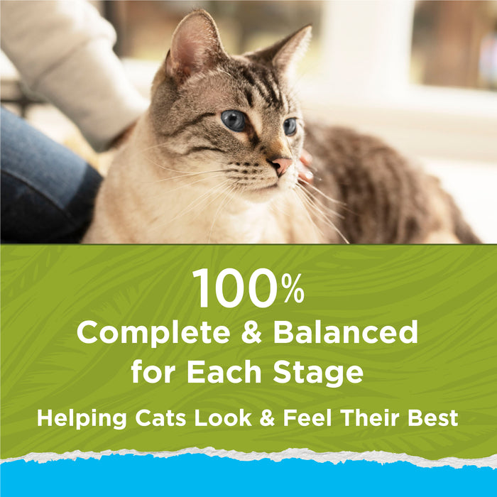 Purina Cat Chow Indoor Healthy Weight + Hairball Control Dry Cat Food