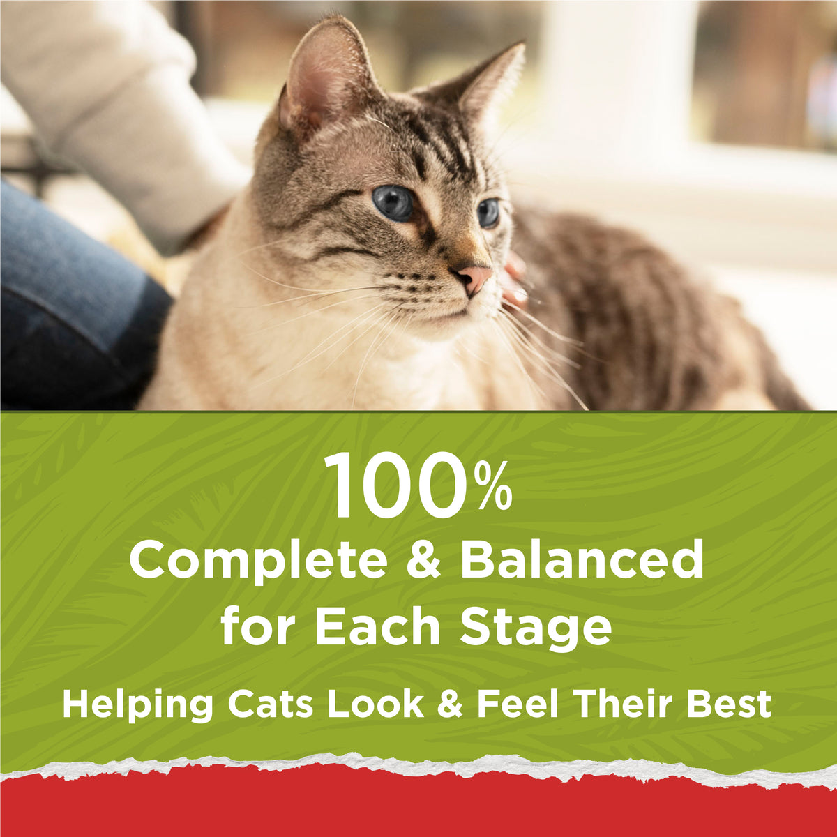 Purina Cat Chow Naturals Original Dry Cat Food