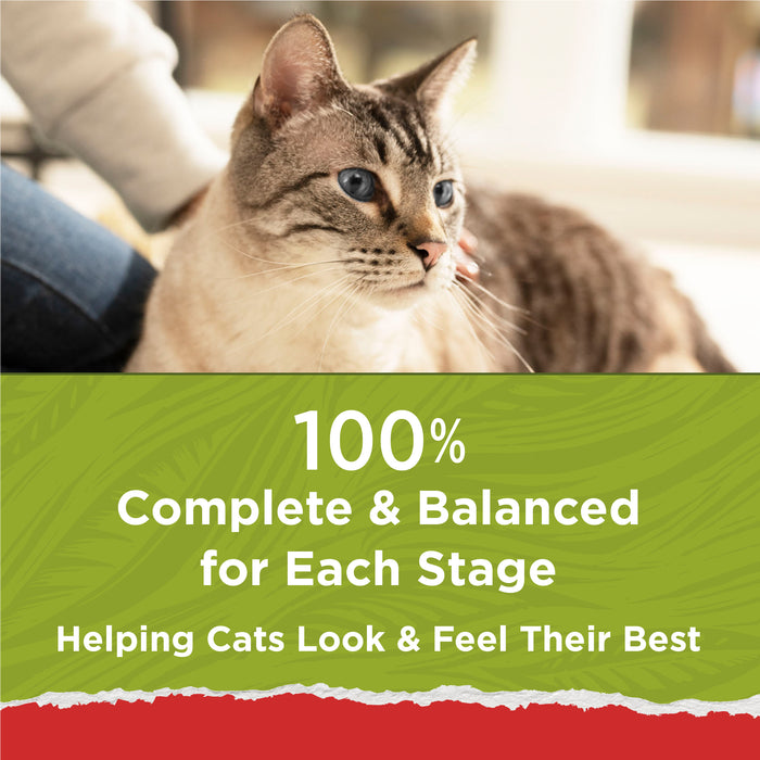 Purina Cat Chow Naturals Original Dry Cat Food