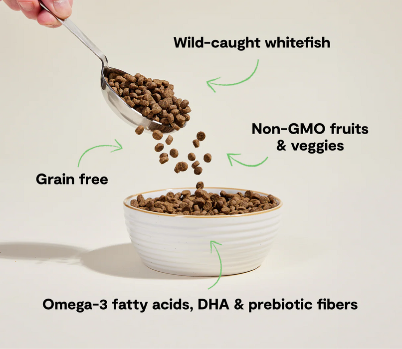 Open Farm Cat Food Catch Of The Season Whitefish, 4 Pounds