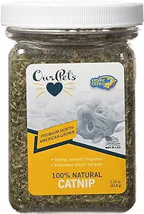Cosmic CatNip Cup