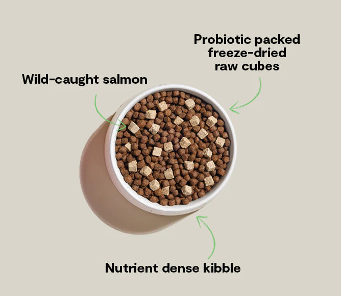 Open Farm GoodGut Wild-Caught Salmon Dog Kibble