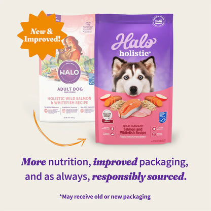 Halo Holistic Complete Digestive Health Wild-caught Salmon and Whitefish Dog Food Recipe Adult Dry Dog Food