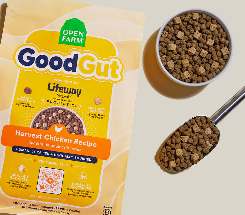 Open Farm GoodGut Harvest Chicken Dog Kibble
