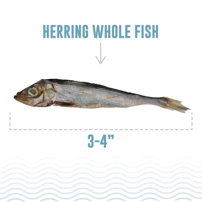 Icelandic Whole Herring Fish Cat Treats 1.5oz