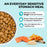 KOHA Limited Ingredient Bland Diet Salmon & Brown Rice Dog Food