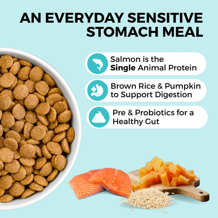 KOHA Limited Ingredient Bland Diet Salmon & Brown Rice Dog Food