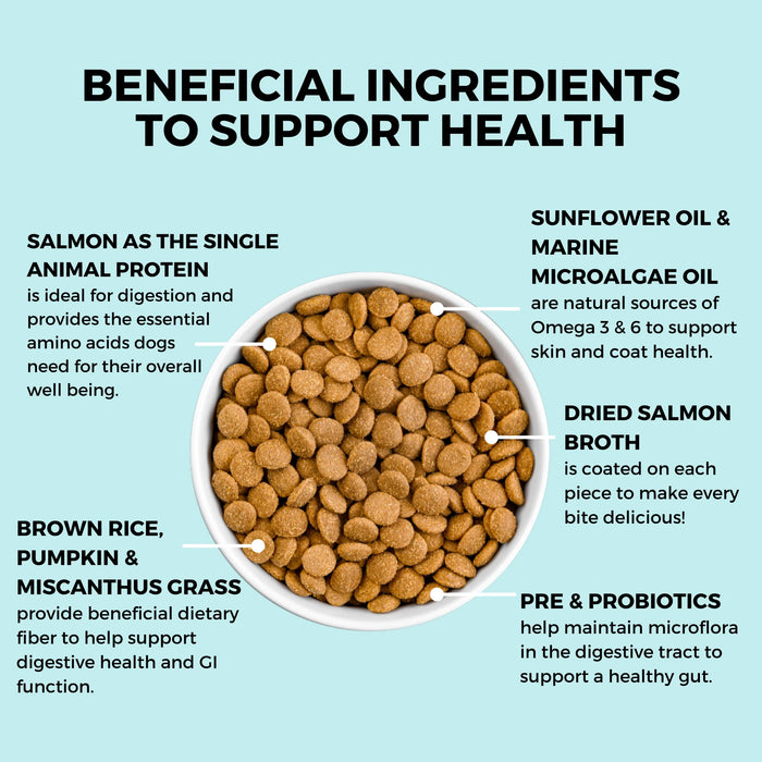 KOHA Limited Ingredient Bland Diet Salmon & Brown Rice Dog Food