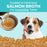 KOHA Limited Ingredient Bland Diet Salmon & Brown Rice Dog Food