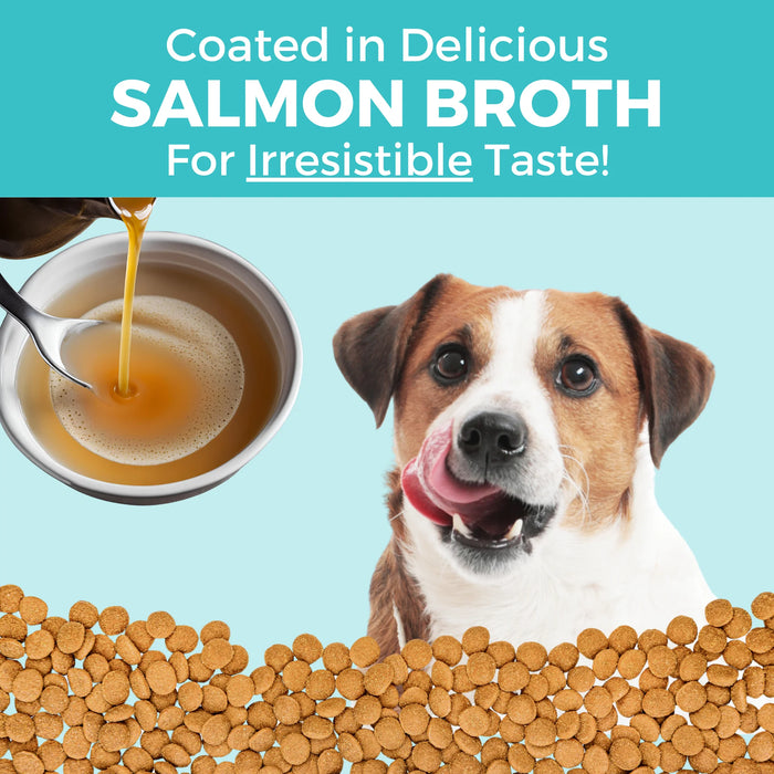 KOHA Limited Ingredient Bland Diet Salmon & Brown Rice Dog Food