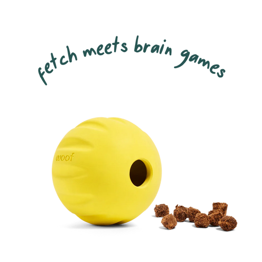 Woof Flyball 2-in-1 Fetch Ball & Puzzle Toy