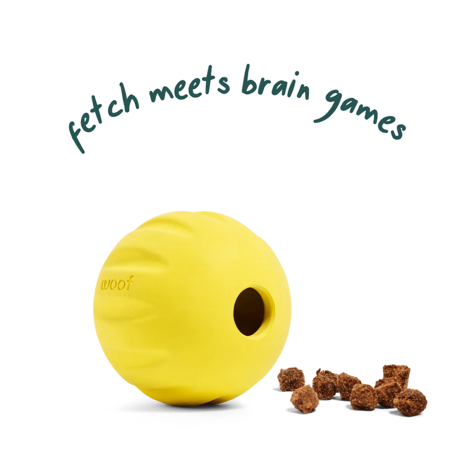 Woof Flyball 2-in-1 Fetch Ball & Puzzle Toy