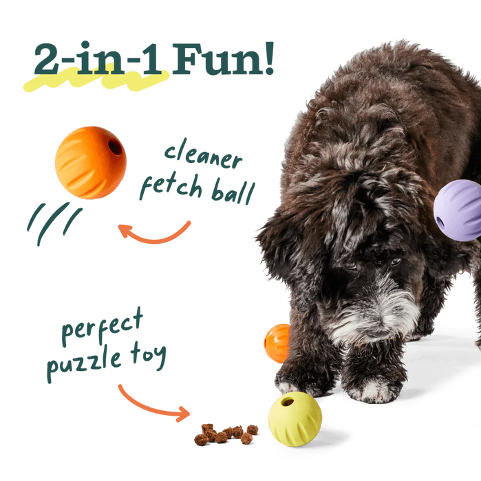 Woof Flyball 2-in-1 Fetch Ball & Puzzle Toy