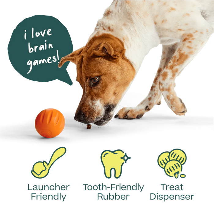 Woof Flyball 2-in-1 Fetch Ball & Puzzle Toy
