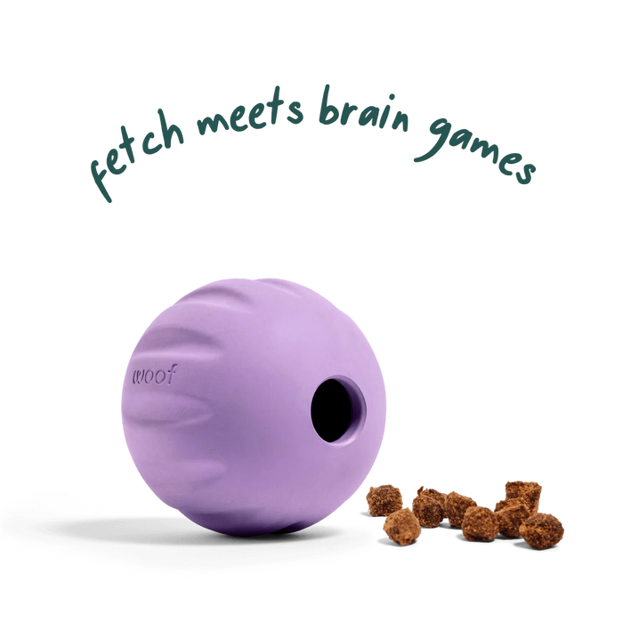 Woof Flyball 2-in-1 Fetch Ball & Puzzle Toy