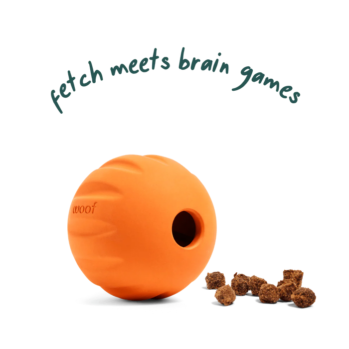 Woof Flyball 2-in-1 Fetch Ball & Puzzle Toy