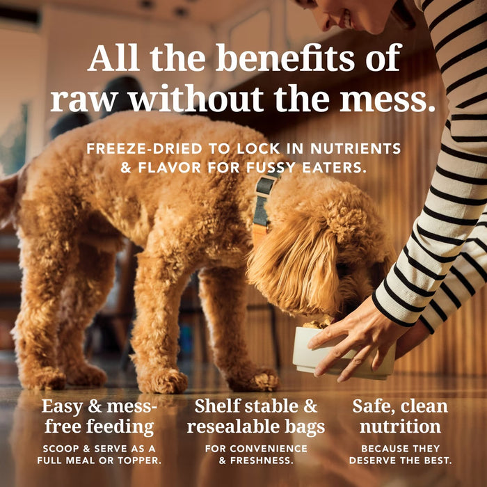 K9 Natural Chicken Feast Freeze-Dried Dog Food