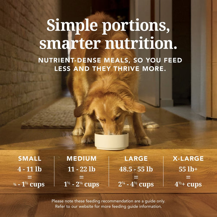 K9 Natural Chicken Feast Freeze-Dried Dog Food