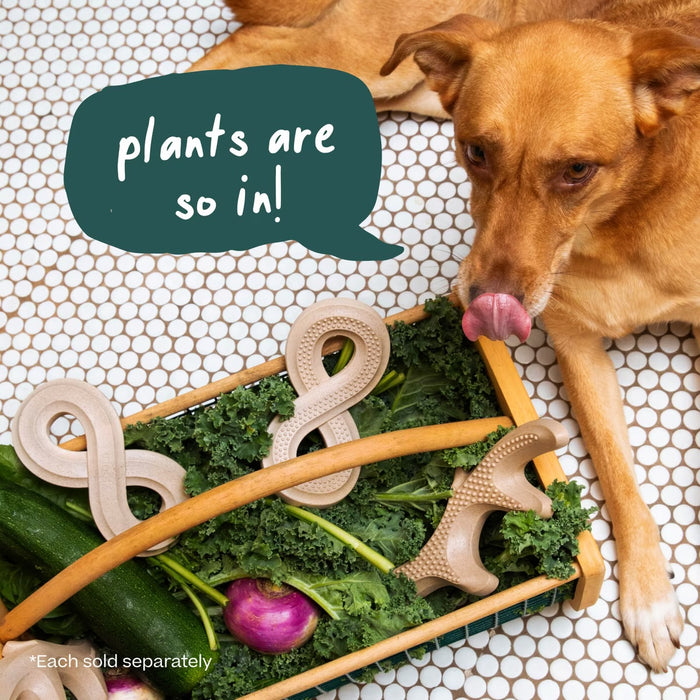 Woof HonestChew Infinity - Plant-Based Dog Chew Toy
