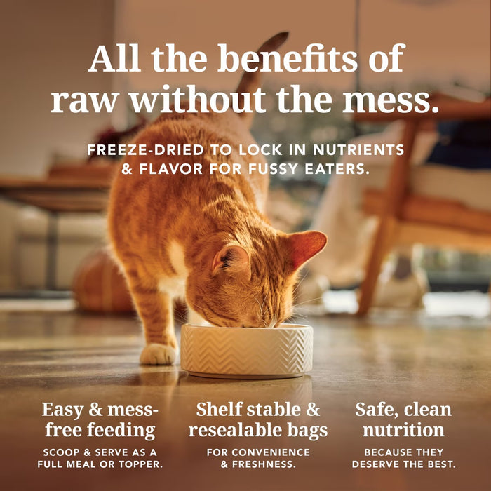 Feline Natural Chicken & Lamb Feast Freeze-Dried Cat Food