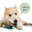 Woof BullySafe - Bully Stick Holder for Safer Dog Chewing