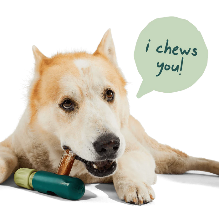 Woof BullySafe - Bully Stick Holder for Safer Dog Chewing