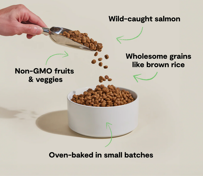 Open Farm Goodbowl Wild-Caught Salmon & Brown Rice Dog Food
