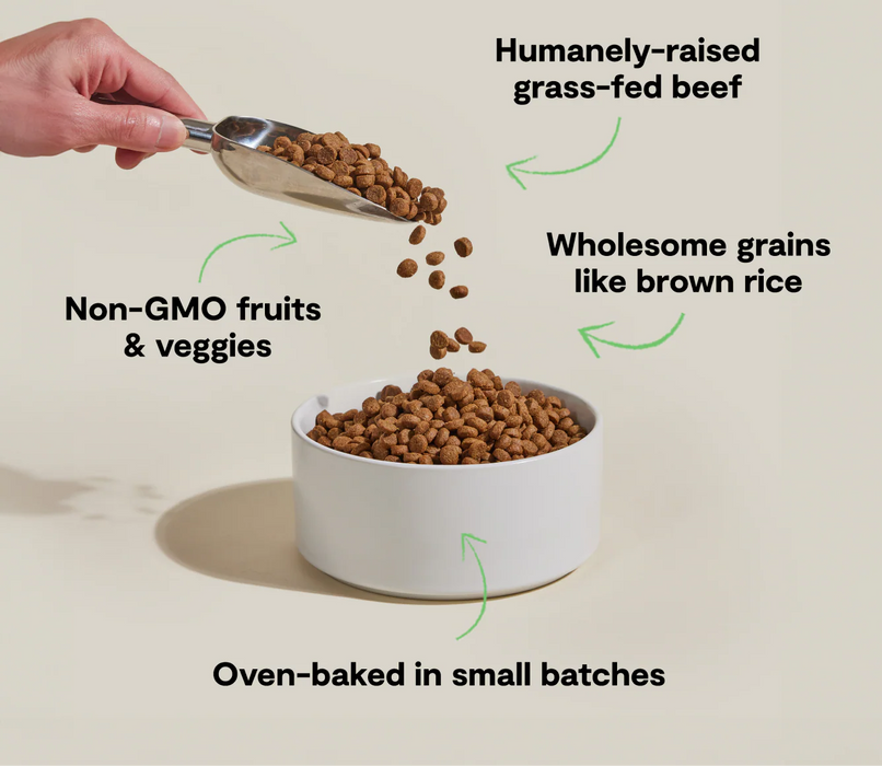 Open Farm Goodbowl Grass-Fed Beef & Brown Rice Dog Food