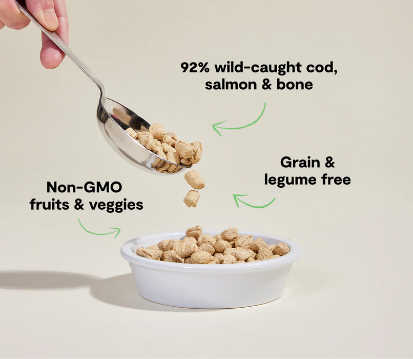 Open Farm Salmon & Cod Freeze Dried Raw Cat Morsels