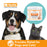 Nootie Medicated Ear Finger Wipes for Dogs & Cats | 80 Count