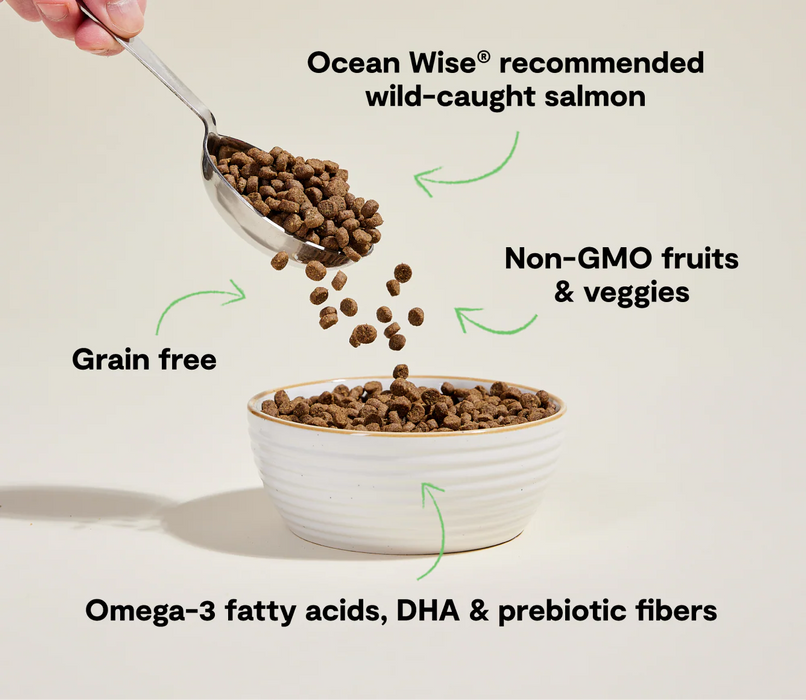 Open Farm Grain Free Wild Caught Salmon Dry Cat Food
