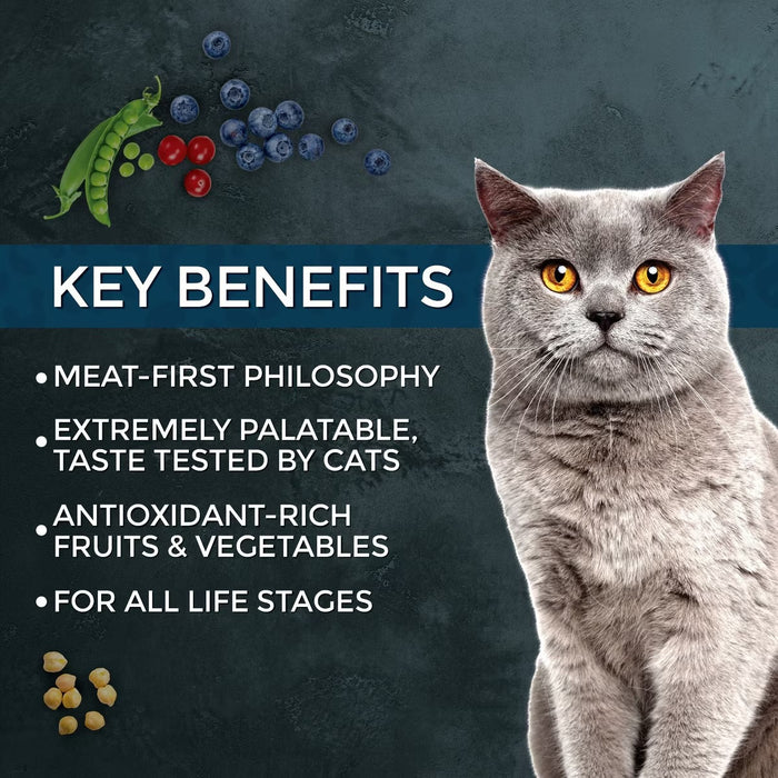 Fussie Cat Market Fresh Dry Cat Food — Salmon Recipe