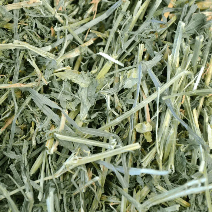 Oxbow Alfalfa Hay for Small Animals