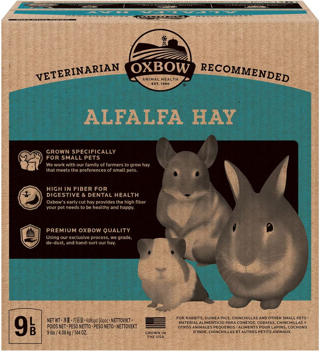 Oxbow Alfalfa Hay for Small Animals