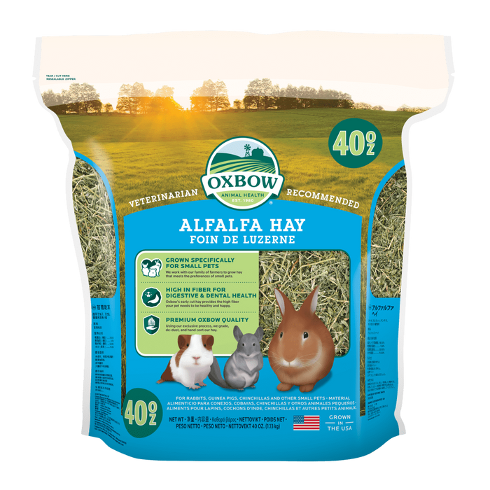 Oxbow Alfalfa Hay for Small Animals