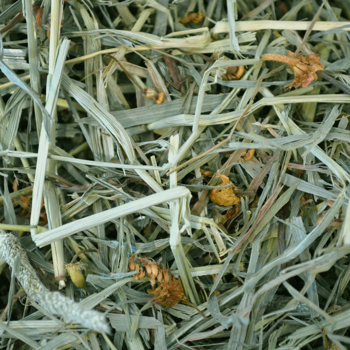 Oxbow Botanical Hay for Small Animals