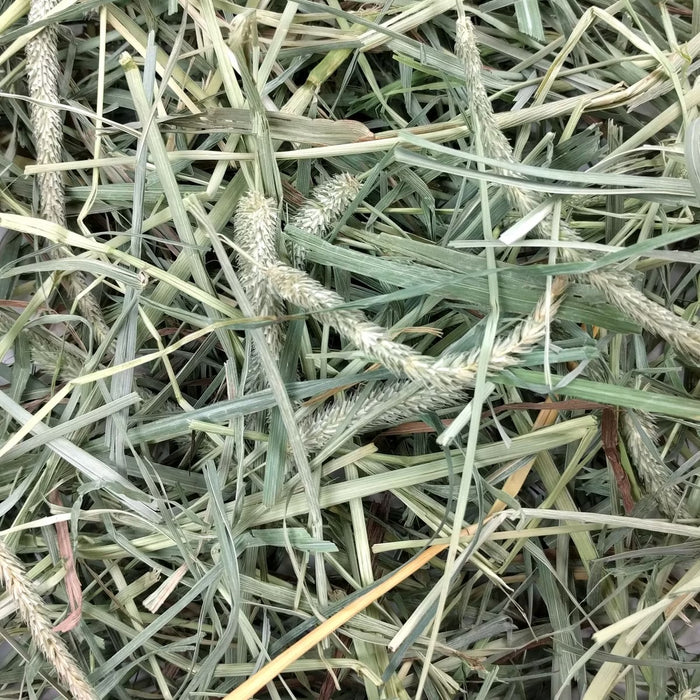 Oxbow Hay Blends Western Timothy & Orchard for Small Animals