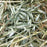 Oxbow Oat Hay for Small Animals