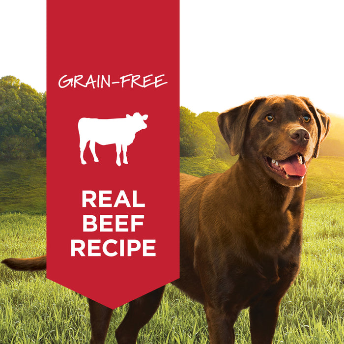 Instinct Grain-Free Beef Formula Canned Dog Food