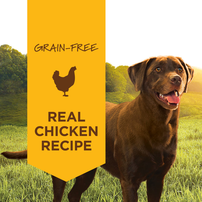 Instinct Grain-Free Chicken Formula Canned Dog Food