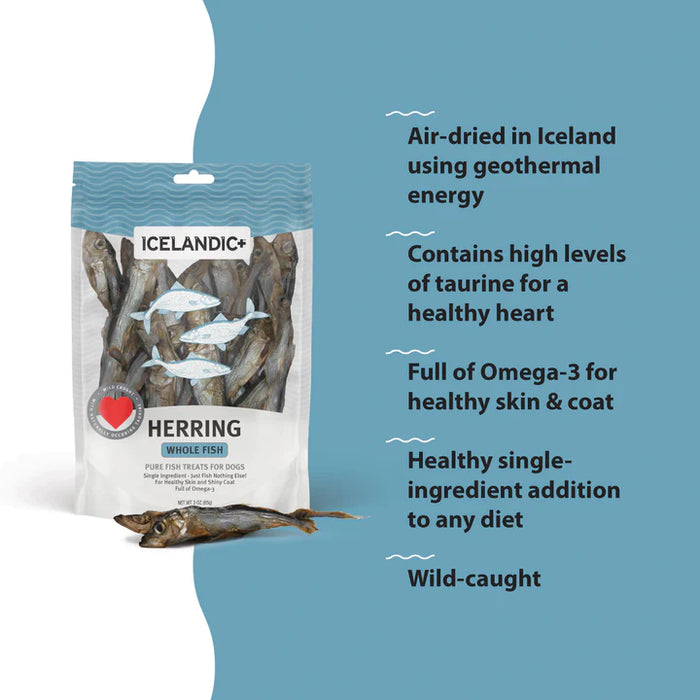 Icelandic Whole Herring Fish Dog Treats